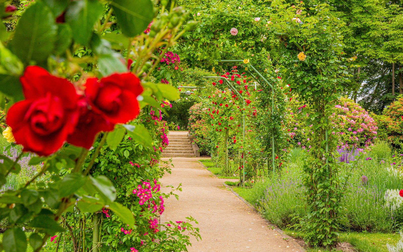 Jubiläumsgarten, Foto: Patrick Lucia, Lizenz: PatLografie