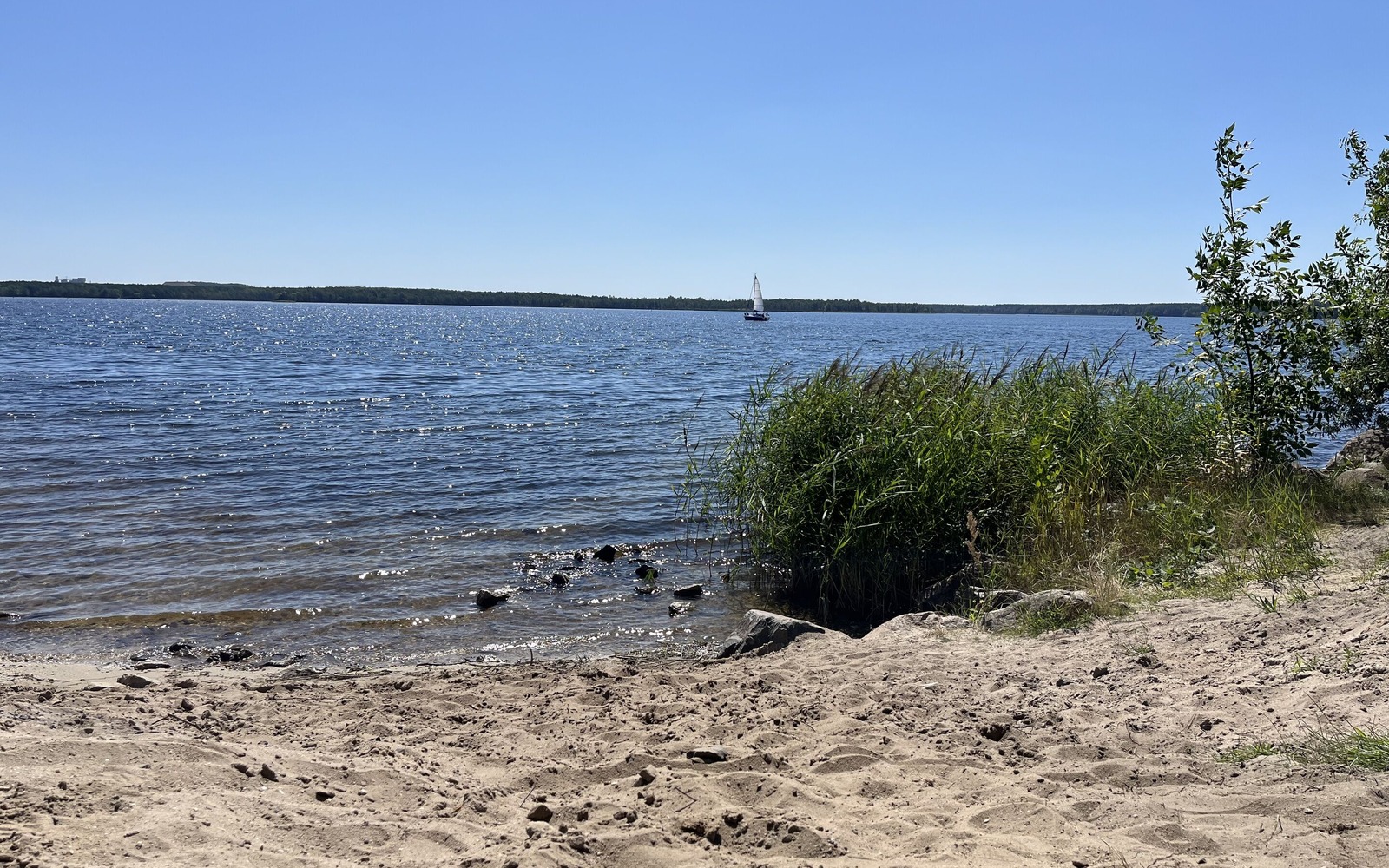 Strand am Geierswalder See, Foto: Celine Klose, Lizenz: Tourismusverband Lausitzer Seenland e.V.