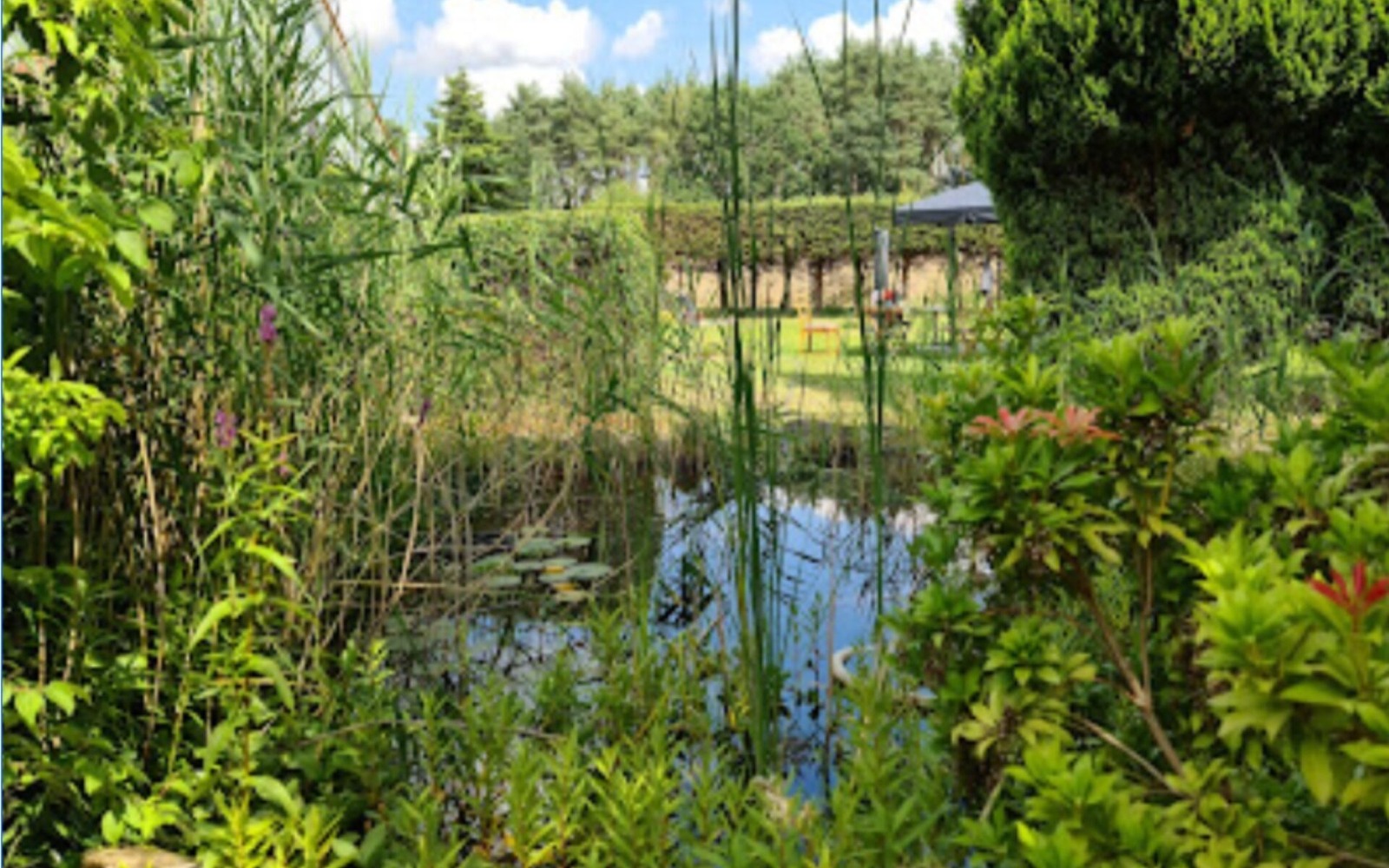 Sitzmöglichkeit am Teich, Foto: Joerg Muthke, Lizenz: Joerg Muthke
