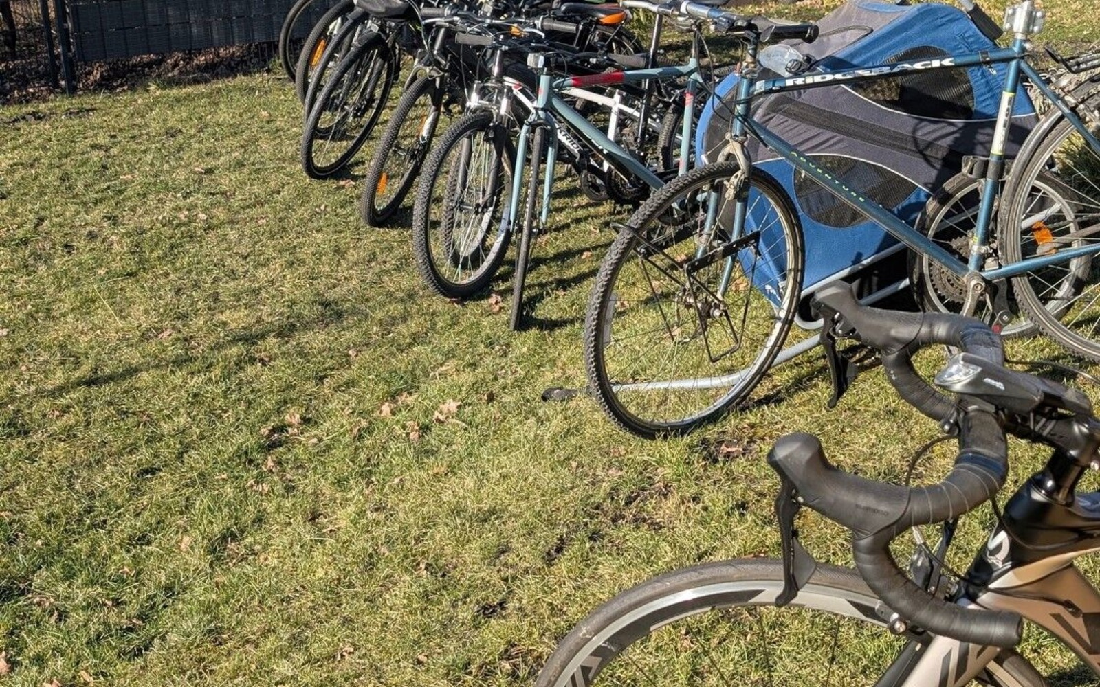 Räder auf der Wiese bei FamilyandBike, Foto: E. Grieger, Lizenz: E. Grieger