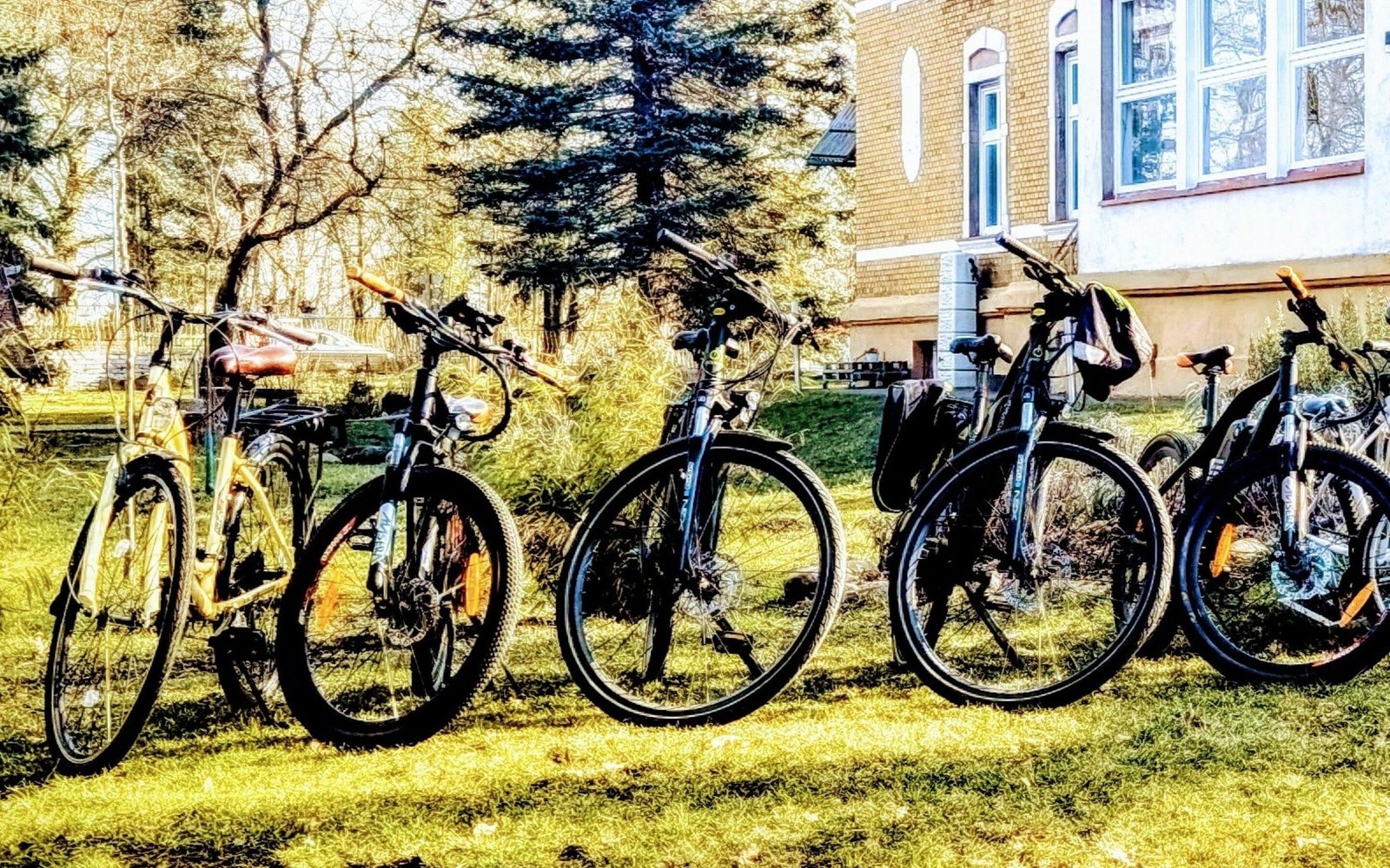 Leihräder im Außenbereich bei FamilyandBike, Foto: E. Grieger, Lizenz: E. Grieger