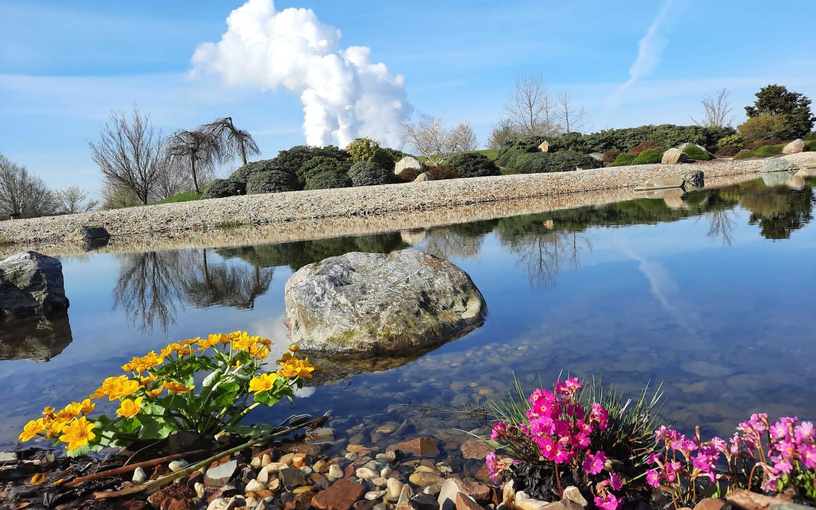Am Teich, Foto: Findlingspark Nochten, Lizenz: Förderverein Findlingspark